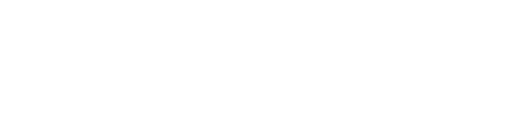 Termites Removal